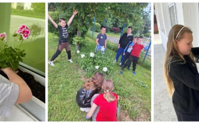 VIJEST: Školski projekt „Mislim zeleno, čuvam Zemlju“ u PŠ Niza