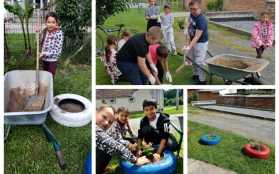 VIJEST: Projekt “Mislim zeleno, čuvam Zemlju” u PŠ Topoline