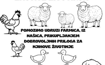 VIJEST: I ove godine organiziramo akciju povodom Međunarodnog dana zaštite životinja